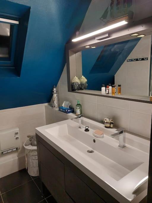 Bel Appartement 50 M2 Aux Portes De Strasbourg De 1 A 5 Personnes Chez Particuliers Avec 2 Sdb Coin Cuisine-Repas Et Kitchinette Prix Negociable Pour 1 Personne Vendenheim Exterior foto